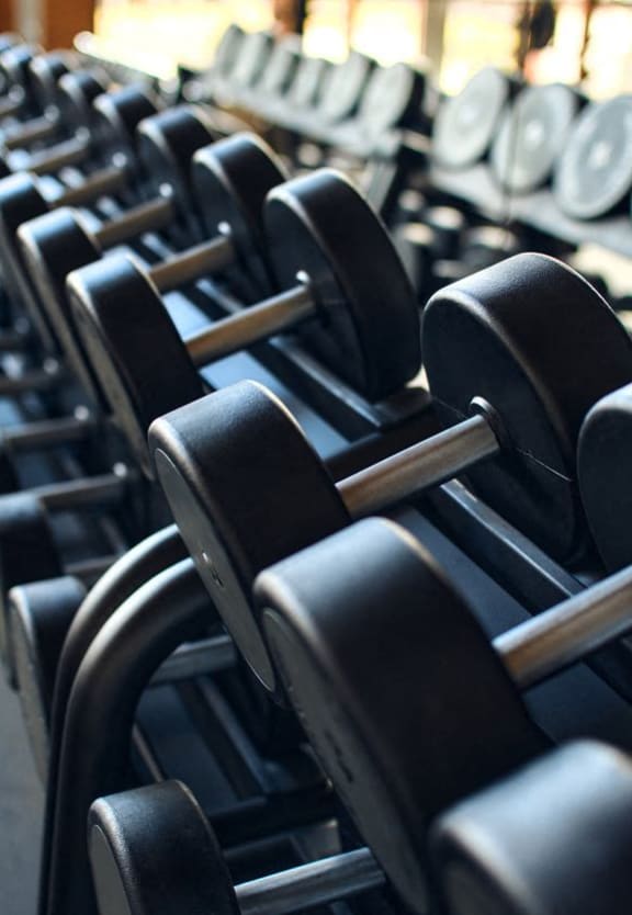 a row of weights in a gym at Northland at the Arboretum, Austin, 78759
