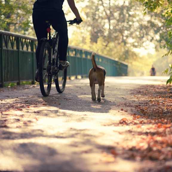 a person riding a bike down a path with a dog at Anthem at Square 10 in New Haven, CT 06511