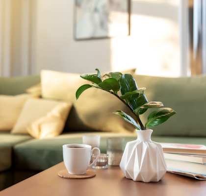 A white vase with a green plant sits on a table in front of a couch.