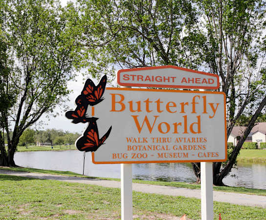 butterfly world at Cypress Shores, Coconut Creek, Florida
