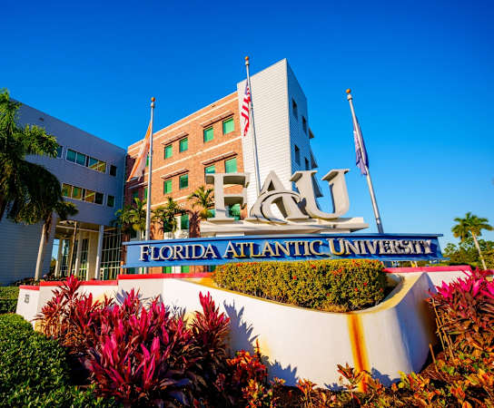 University Signage at Via Lugano, Florida