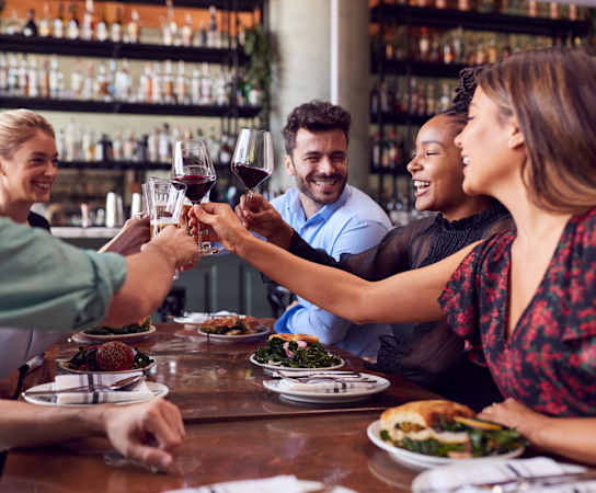 people making a toast at a restaurant table at Village at Terra Bella Apartments, Land O' Lakes, Florida