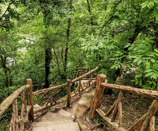 a wooden bridge in the woods at The Legend, Waco