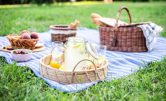 a picnic in the park at The District at Rosemary, Sarasota, Florida