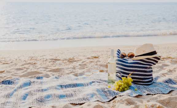 a picnic on the beach at Village at Terra Bella Apartments, Land O' Lakes, Florida