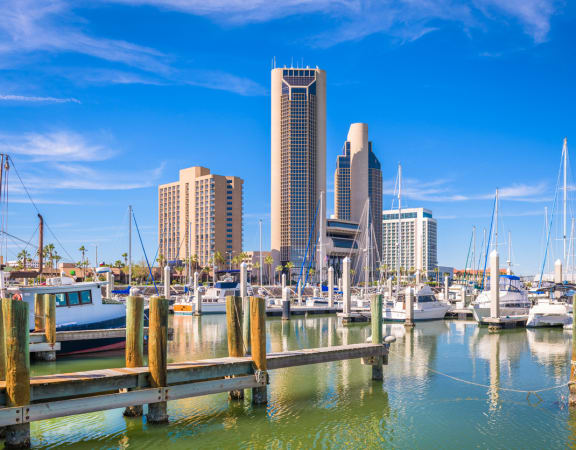 a view of the san diego skyline from the marina