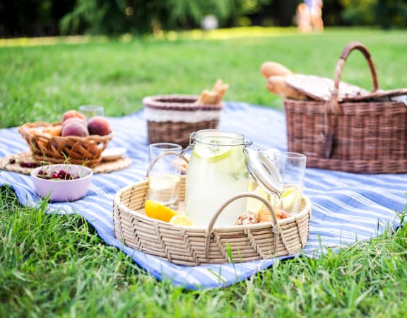 a picnic in the park