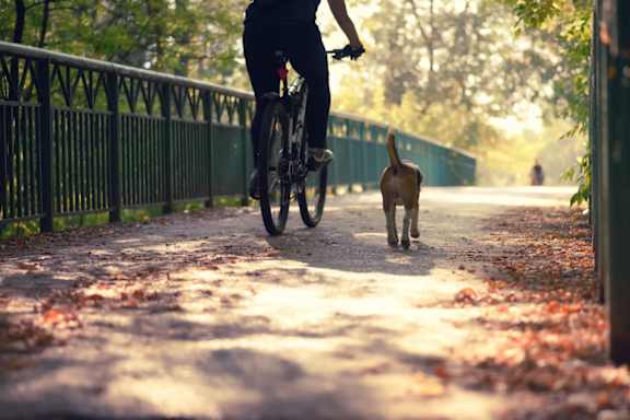 a person riding a bike down a path with a dog