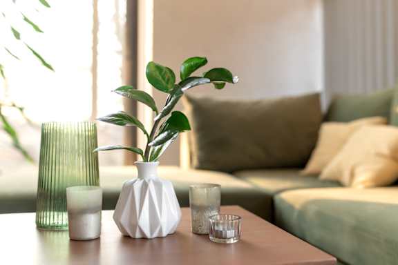 A white vase with a green plant sits on a table in front of a couch at Coleman Towers Apartments, Somerset