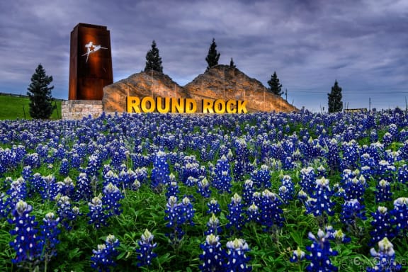 Round Rock monument sign surrounded of bluebonnets field