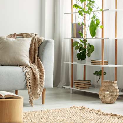 A living room with a grey couch, a wooden coffee table, and a shelf with plants.