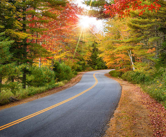 a road winding through an autumn forest with the sun shining through the trees  at Residences at Westborough Station, Westborough, 01581