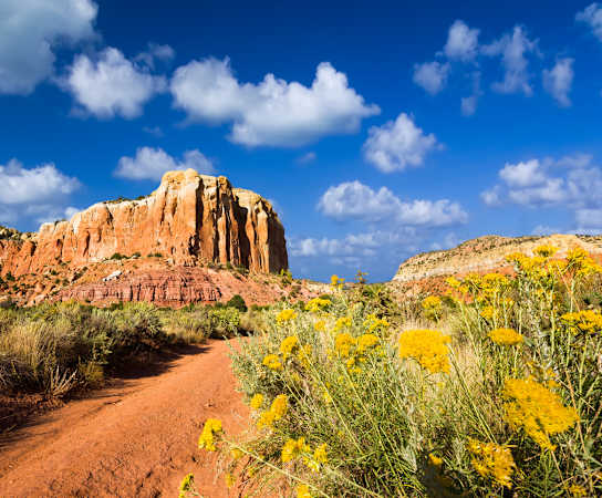 a dirt road through the desert with yellow flowers on the side of the road at Vizcaya, Santa Fe, NM, 87505