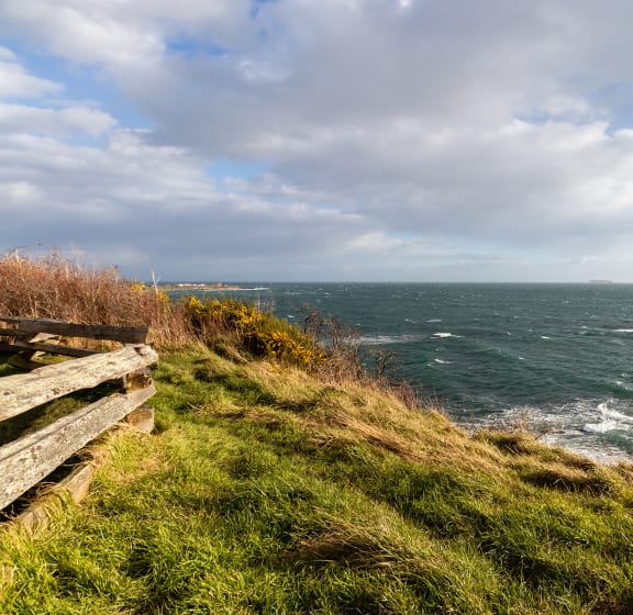 a bench on the cliff top overlooking the irish sea
