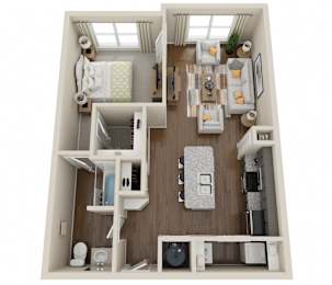 1 Bedroom, 1 Bath (1c)