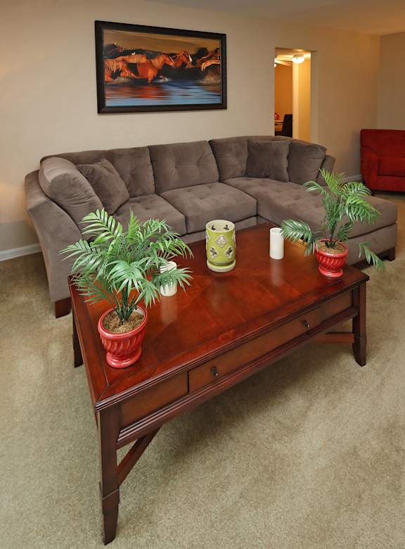 A living room with a brown couch and a coffee table with three potted plants on it.