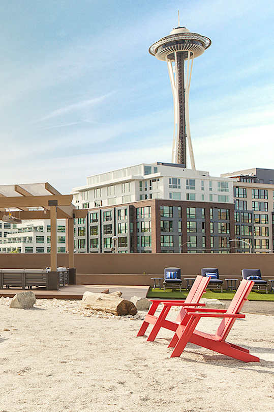 Beach chairs are arranged on a sandy beach.