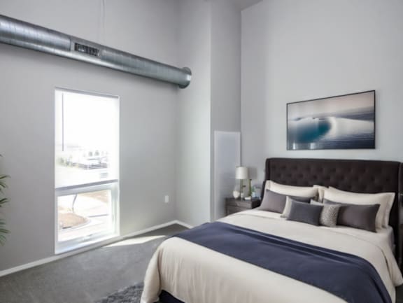A bedroom with a large bed and a plant.