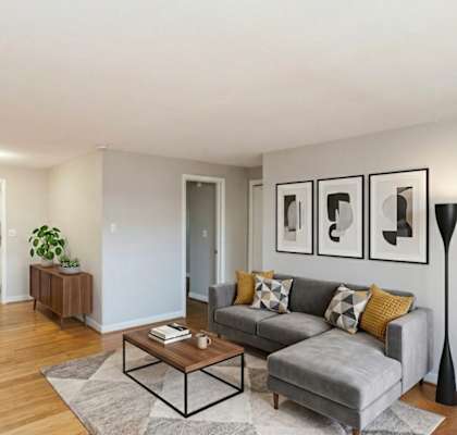 A living room with a grey couch, a coffee table, and a potted plant.