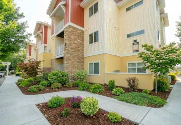 A building with a landscaped front yard.