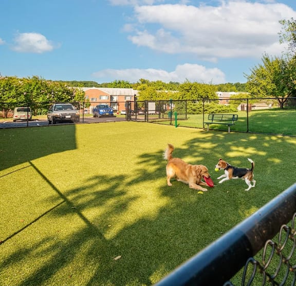 Grassy area1 at Tuscarora Creek, Leesburg
