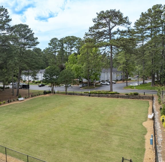a large lawn in a park with trees