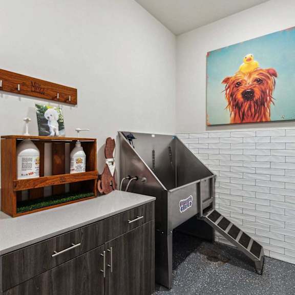 A dog grooming area with a painting of a dog on the wall.