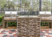 Thumbnail 30 of 33 - Grills at The Preserve at Tampa Palms, Tampa