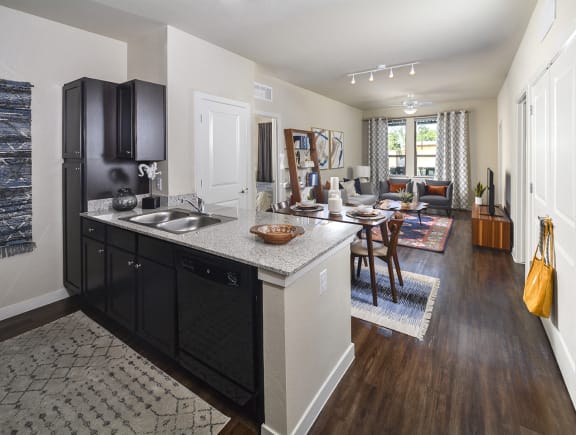 Granite countertops In Kitchen at Rio Lofts, Texas
