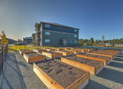 Thumbnail 8 of 19 - Community Garden at GATEWAY BY VINTAGE, Spanaway, 98387