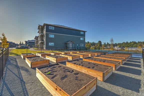 Community Garden at GATEWAY BY VINTAGE, Spanaway, 98387