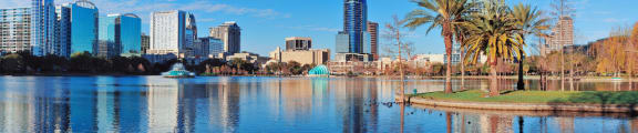 the city with a lake and palm trees