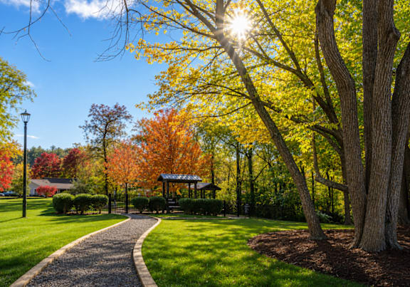 A pathway in a park with trees showing autumn colors.