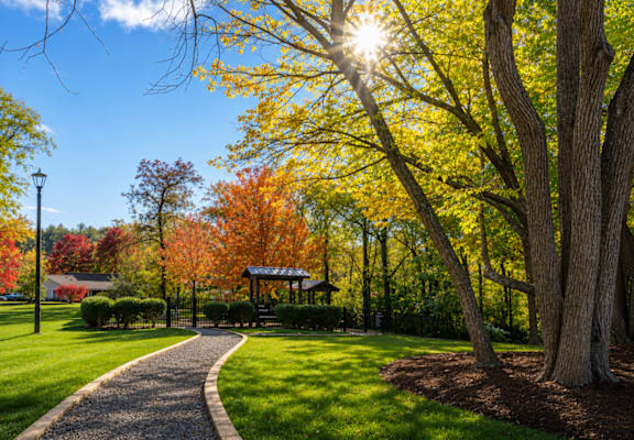 A pathway in a park with trees showing autumn colors.