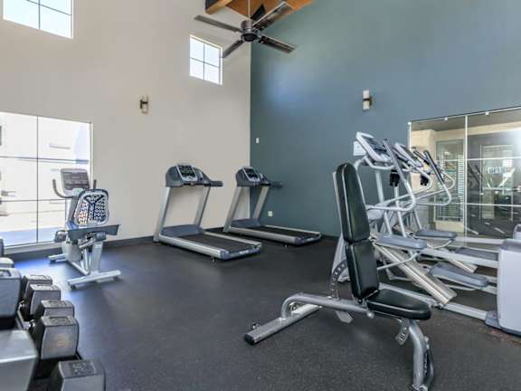 A gym with treadmills, weights, and a fan.