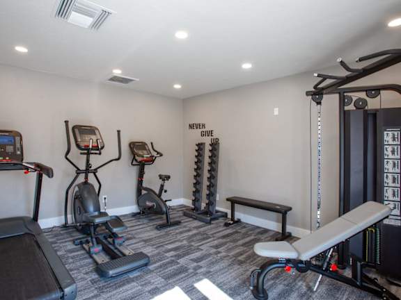 A gym with a variety of equipment including treadmills, exercise bikes, and a bench.