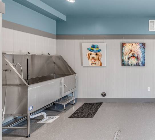 Dog wash station at Quarry Apartments and Townhomes in DeWitt, Michigan