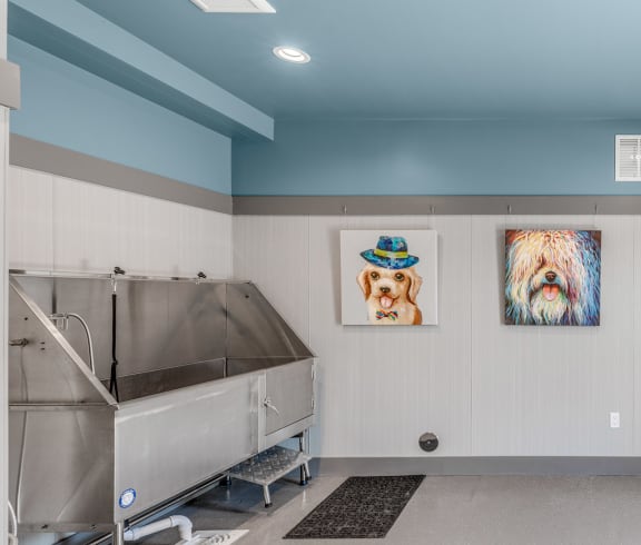 a laundry room with a large metal tub and pictures of dogs on the wall