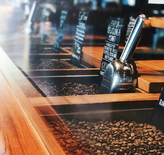 a coffee shop with coffee beans on the counter