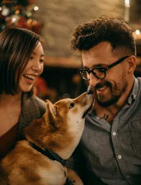 A man and woman are sitting together with a dog in front of a lit Christmas tree.