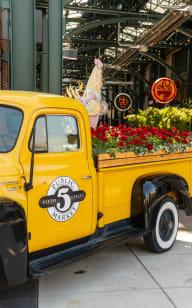 an old yellow truck with flowers in the bed of it