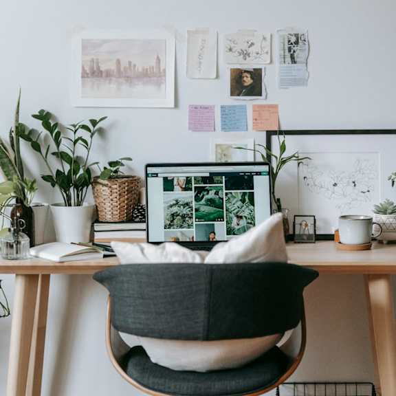 Workspace with laptop, chair, and plants in a simple indoor setting
