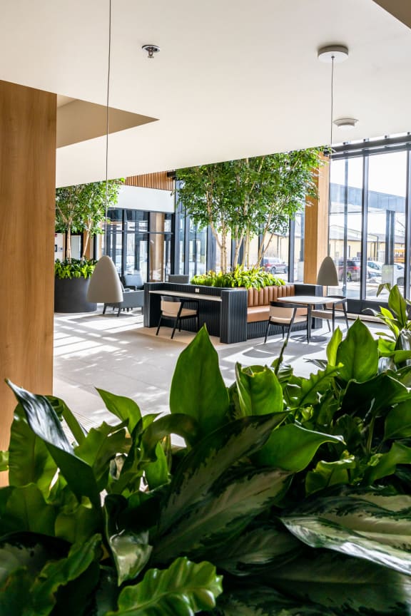 this is a photo of the office lobby with plants in the foreground