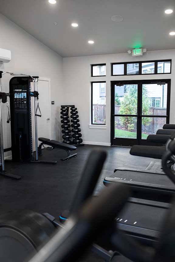 A gym with treadmills, weights and a window.