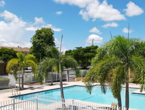 Swimming Pool with Sundeck Surrounded by Palm Trees