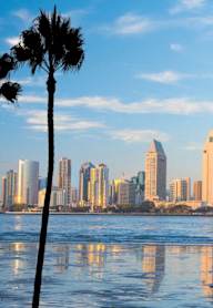Palm trees frame a city skyline at sunset.