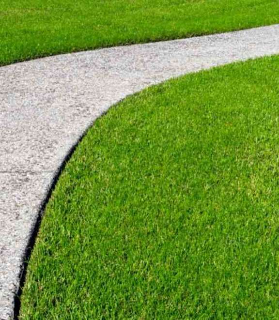 A curved concrete pathway separates a section of green grass.