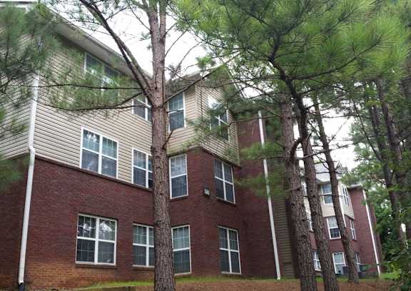 an apartment building with a tree in front of it