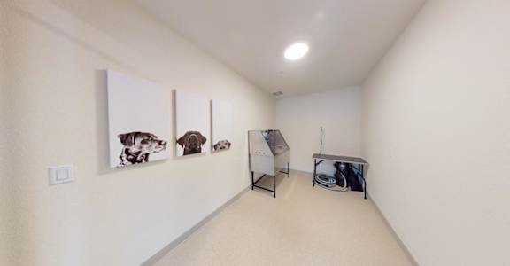 A room with a white wall and a picture of a dog hanging on it.