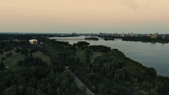 A bridge spans a body of water with a city in the background.